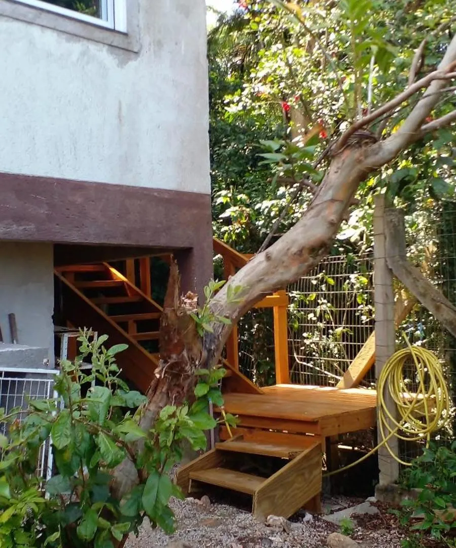 Morada Dos Saguis Villa Florianópolis